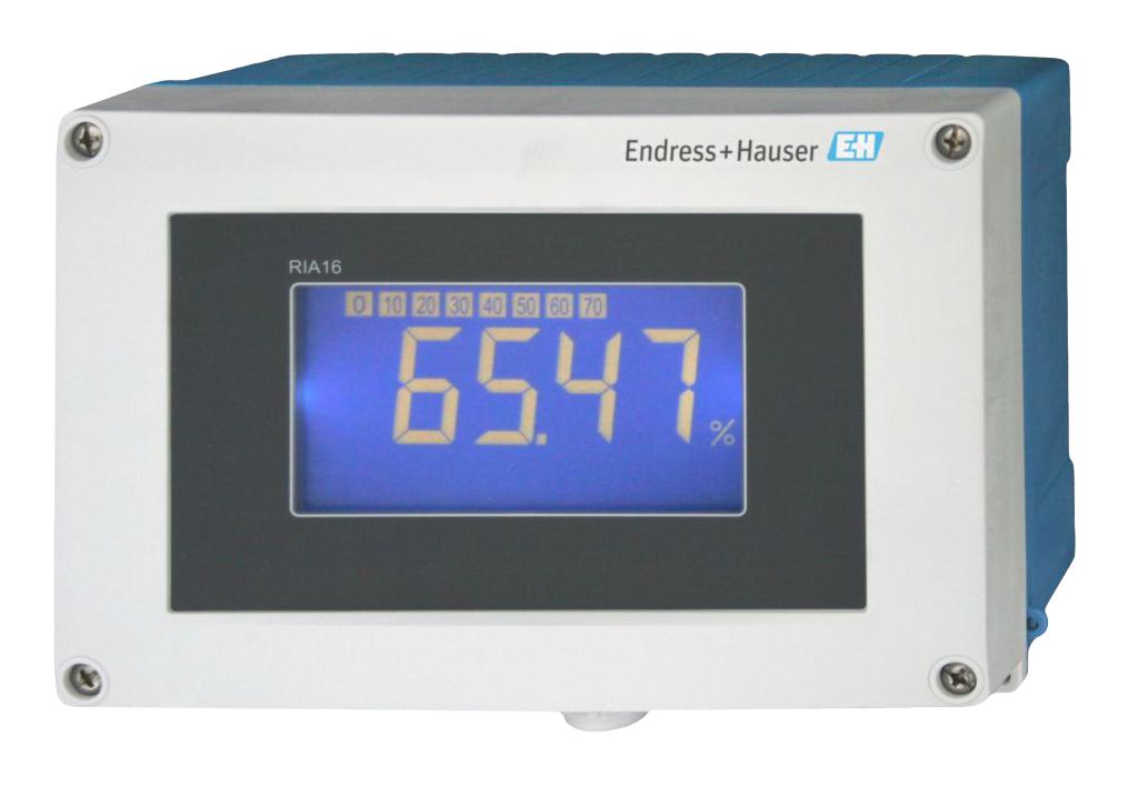 Endress+Hauser Ria16-Ba2A