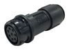 BULGIN LIMITED PXP4011/02S/6065