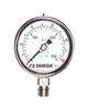 OMEGA PGM-100L-160PSI/11BAR
