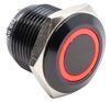 E-SWITCH PV6F24011-3R1