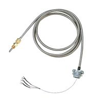 OMEGA CFTF-000-RTD-2-60-1-CC