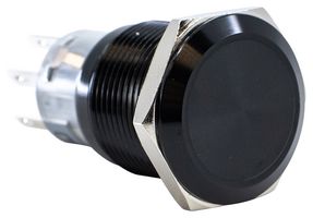 E-SWITCH PV4F2G011