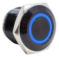 E-SWITCH PV6F24011-341