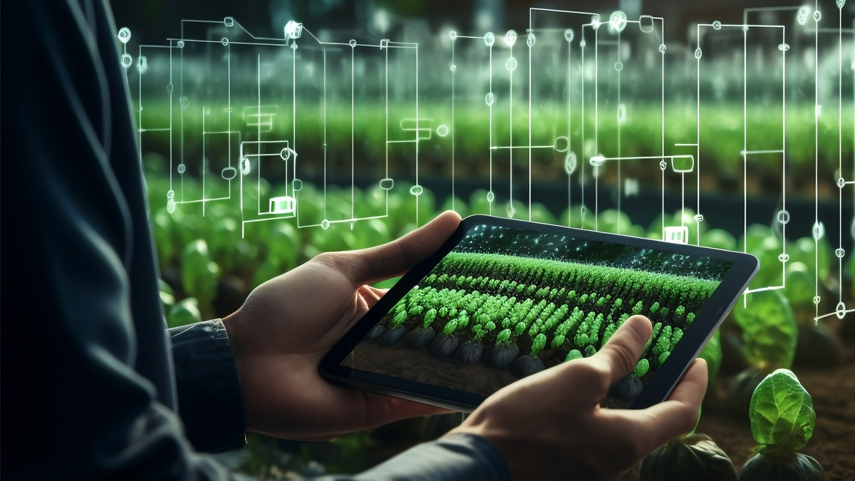 Sustainability and Sensors